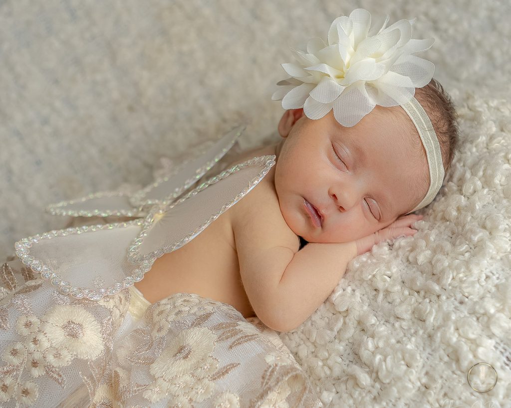 Newborn baby girl posed on her tummy wearing cream skirt on a cream backdrop with fairy wings. Portrait by Brisson Imagery