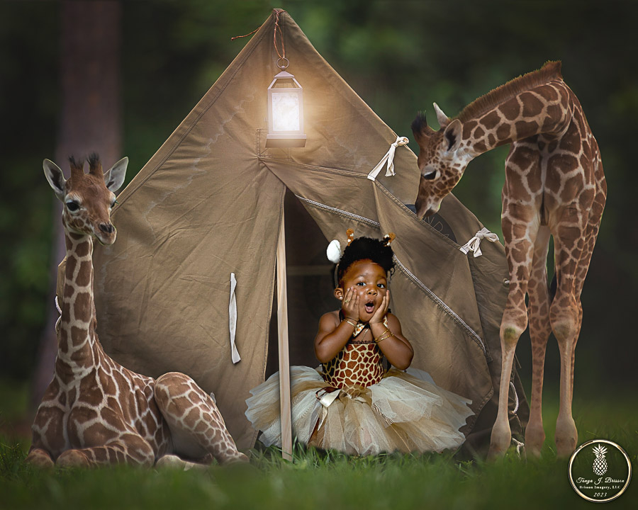 Green screen portrait of a girl camping with giraffes