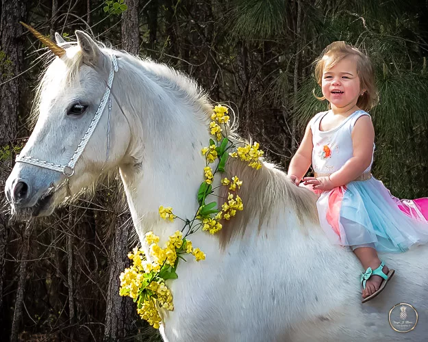 Charleston Childrens Photographer portrait of a 2 yesr old on top of a live unicorn 